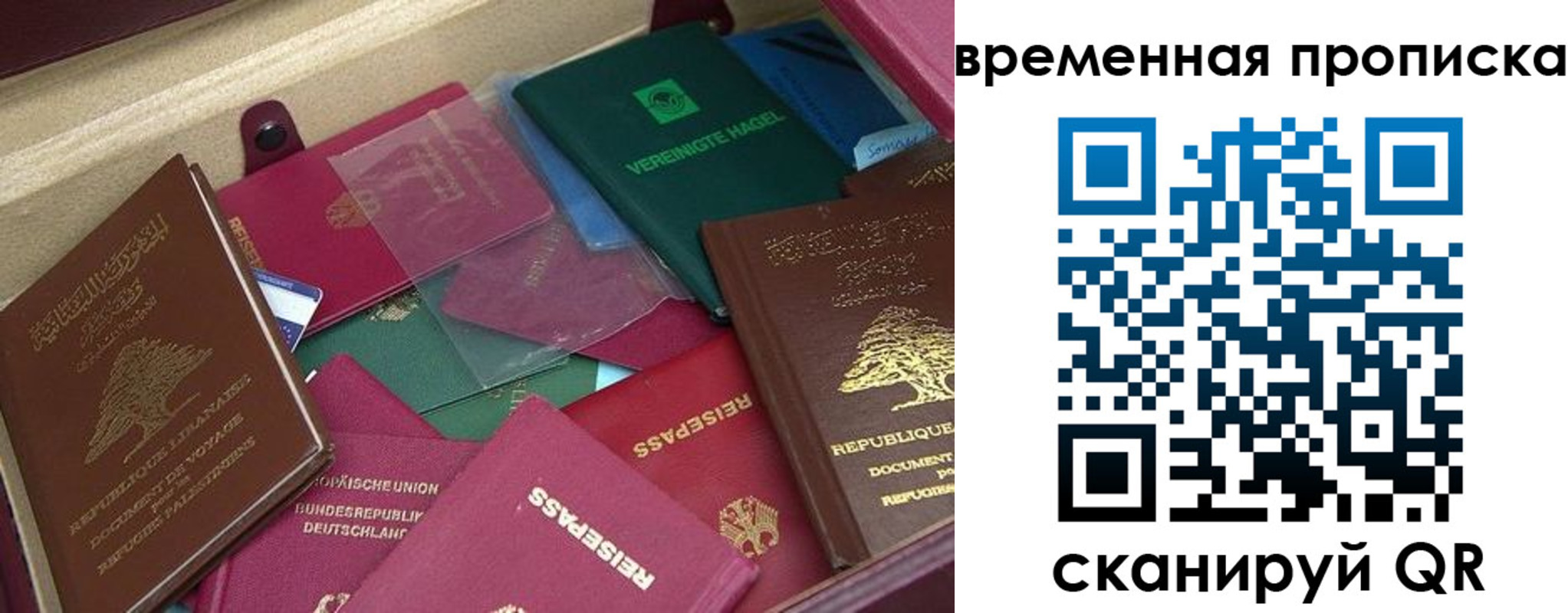 прописка в Менделеевске